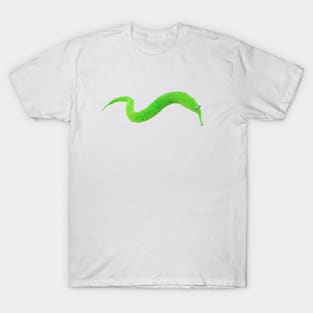 Magic Worm T-Shirt